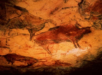 Bison des grottes d